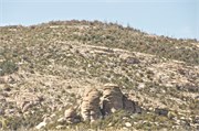 Tucson 2594